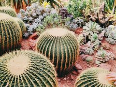 -上海辰山植物园