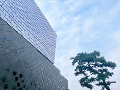 -璞瑄酒店大堂吧