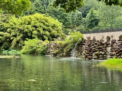 -九龙潭景区