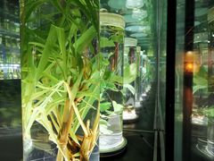 -广东中医药博物馆