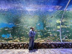 -华夏文旅海洋公园