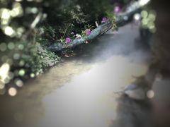 -古龙峡云天玻霸