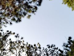 -青龙山国家森林公园