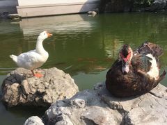 -祝家花園(伯渎港店)
