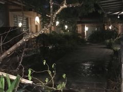 -乐领拈花溪·林涧食韵