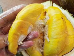 -都念榴莲·城市榴莲