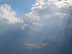 -合肥滨湖国家森林公园