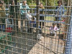 -长白岛森林公园