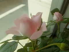 -成都濑川外国语学校