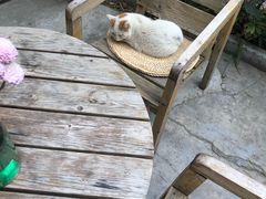 景观位-彳亍咖啡·这里(水湾路店)