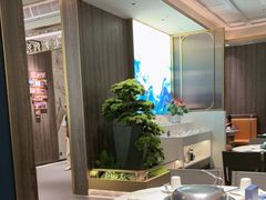 -青蓬蒸汽海鲜·深圳老字号·团建聚会(壹方城店)