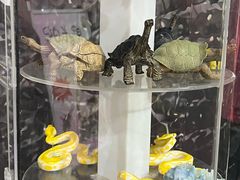 -上海大自然野生昆虫馆(东方明珠·爬宠昆虫探索中心)
