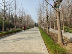 -迎泽公园
