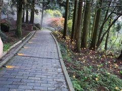 -大围山国家森林公园