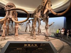-大庆市博物馆
