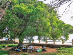 -南沙十九涌渔人码头-南门