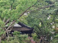 -上海醉白池公园