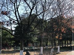 -白塘生态植物园