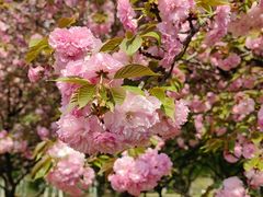 -白塘生态植物园