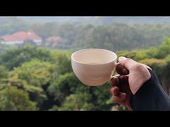 -雁南飞茶田景区