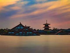 -广富林郊野公园