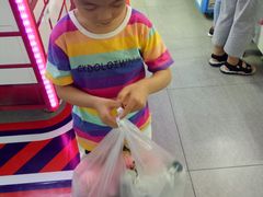 -上海动物园(地铁站)