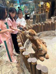 -宝燕乐园(闵行旗舰店)