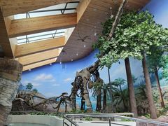 -延庆地质公园博物馆