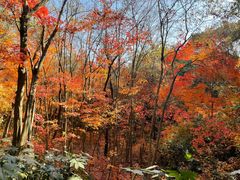 -杭州半山国家森林公园