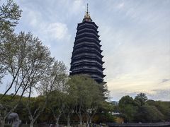 -红梅公园