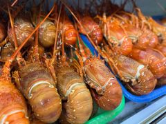 小青龙-阿俊糟粕醋