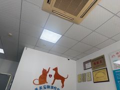 -美美宠物诊疗中心·异宠·骨科(滨江东信分院)