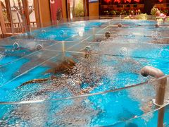 -耕渔小院·湖南鱼鲜(望城店)