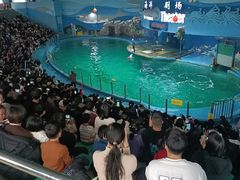 -苏州海洋馆