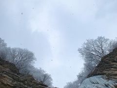 -抱龙峪