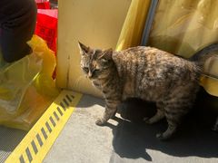 -会龙寺