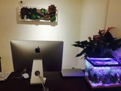 -谜秀专业半永久纹眉纹绣美瞳线洗眉