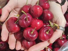 -Olé精品超市(重庆观音桥店)