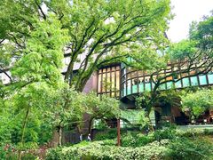 -香港大学