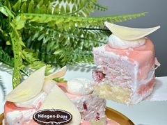 -哈根达斯(美罗城店)