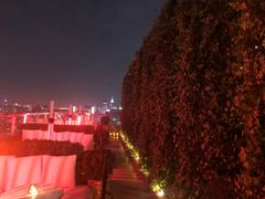 -顶层酒吧ROOF(上海艾迪逊酒店)