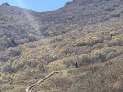 -灵山