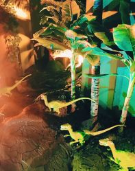 -恐龙探索乐园(磁器口店)