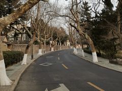-八大关景区