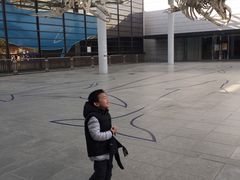 -大阪市立自然史博物馆