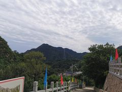 -大岭沟猕猴桃谷风景区