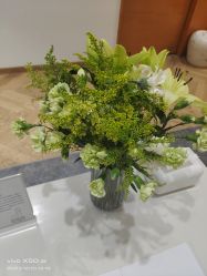 -HEYAN荷妍专业脱毛连锁机构