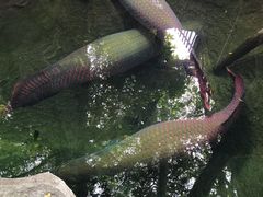 -青青世界