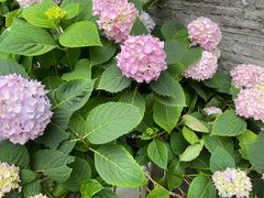 -比格比萨自助(南京万达茂店)