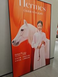 -大树儿童摄影